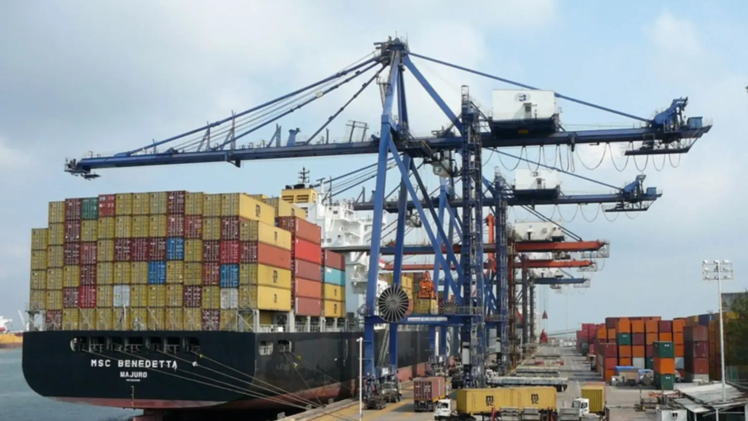 El beneficio será para los grandes jugadores: la advertencia de un experto sobre la nueva política exportadora - Dólar hoy 